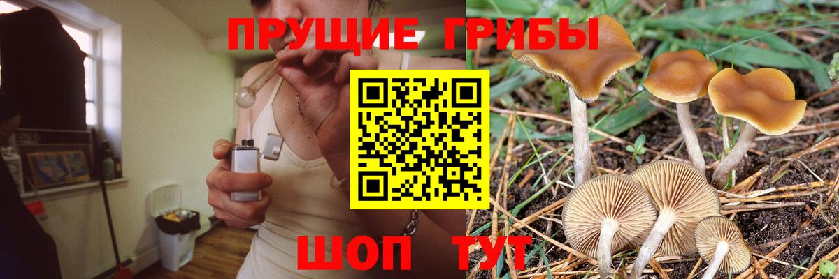 Галлюциногенные грибы GOLDEN TEACHER Ликино-Дулёво